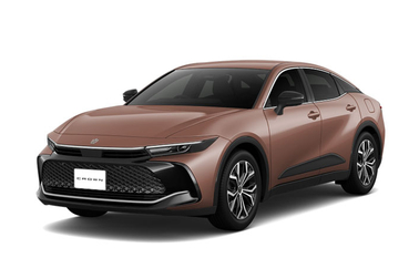 プレシャスブロンズ〈4Y6〉フロントサイド